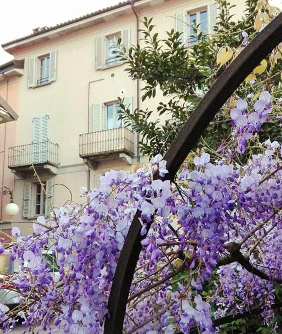 Casa Vacanze Stella فيربانيا المظهر الخارجي الصورة